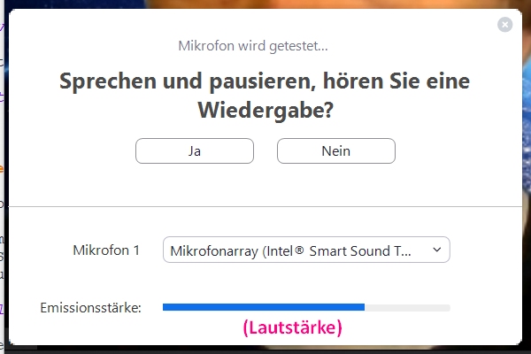 Zoom Mikrofon-Test